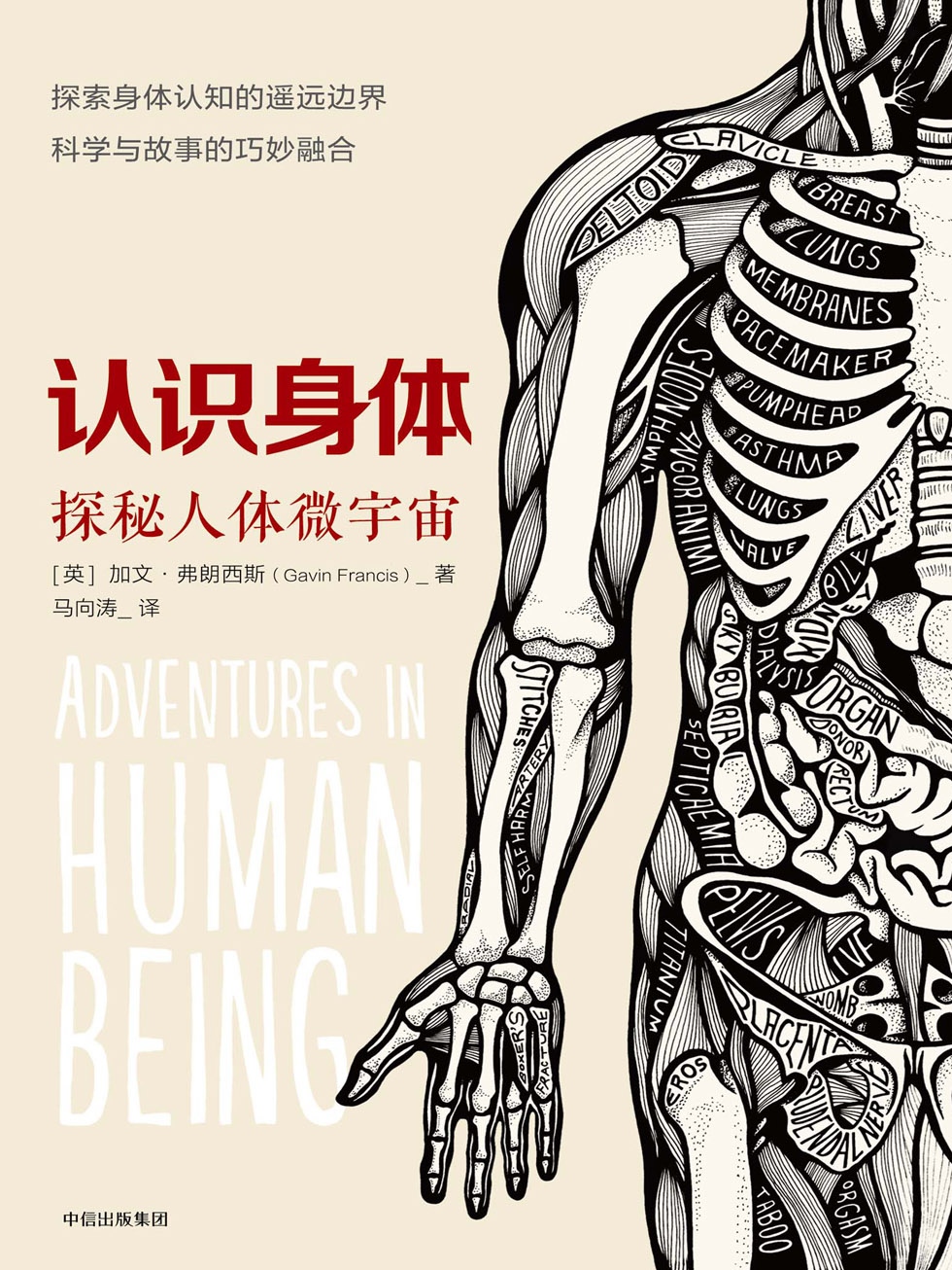 认识身体
