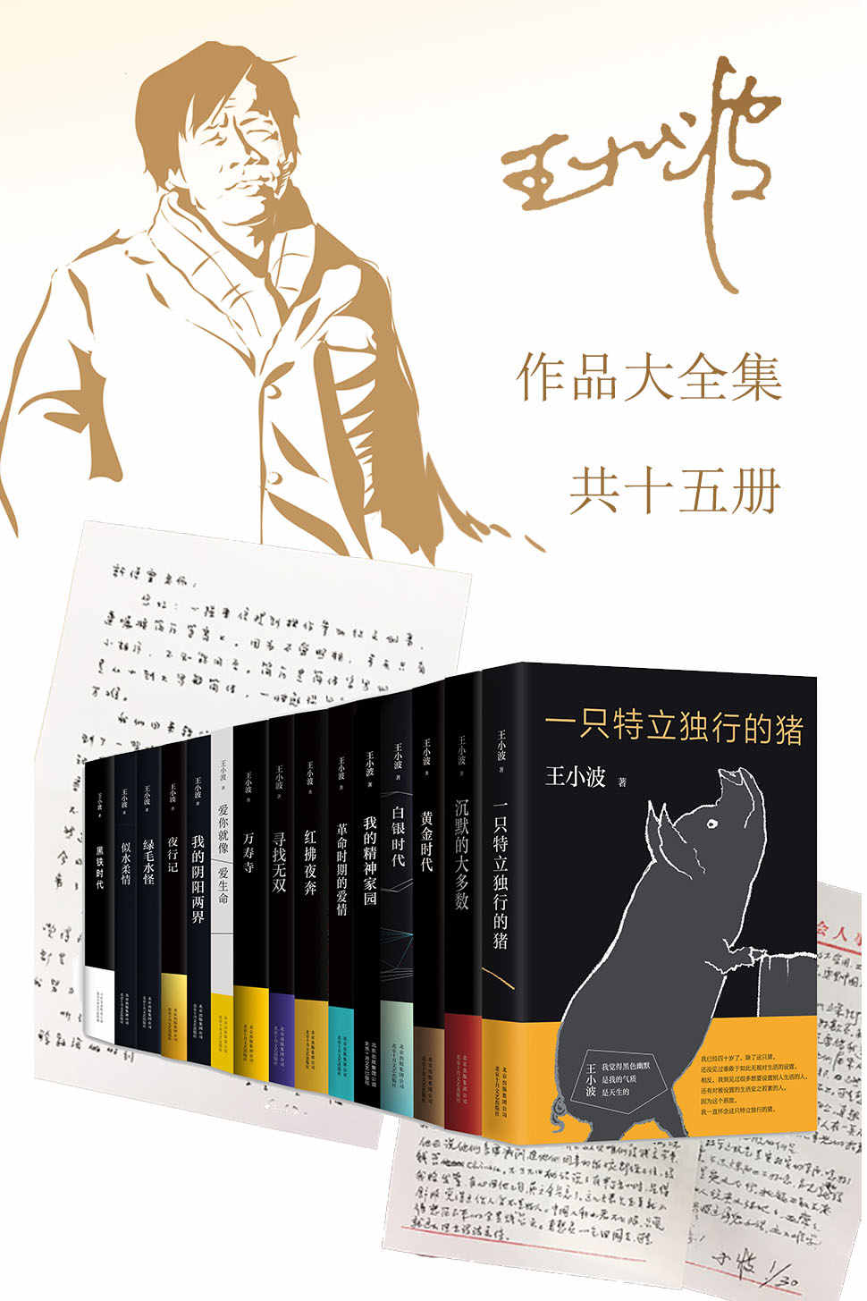 王小波作品大全集（15册）