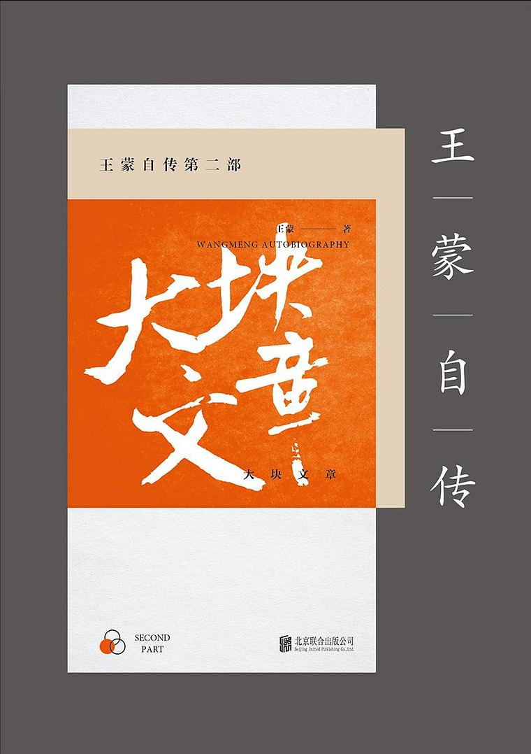 王蒙自传第二部：大块文章
