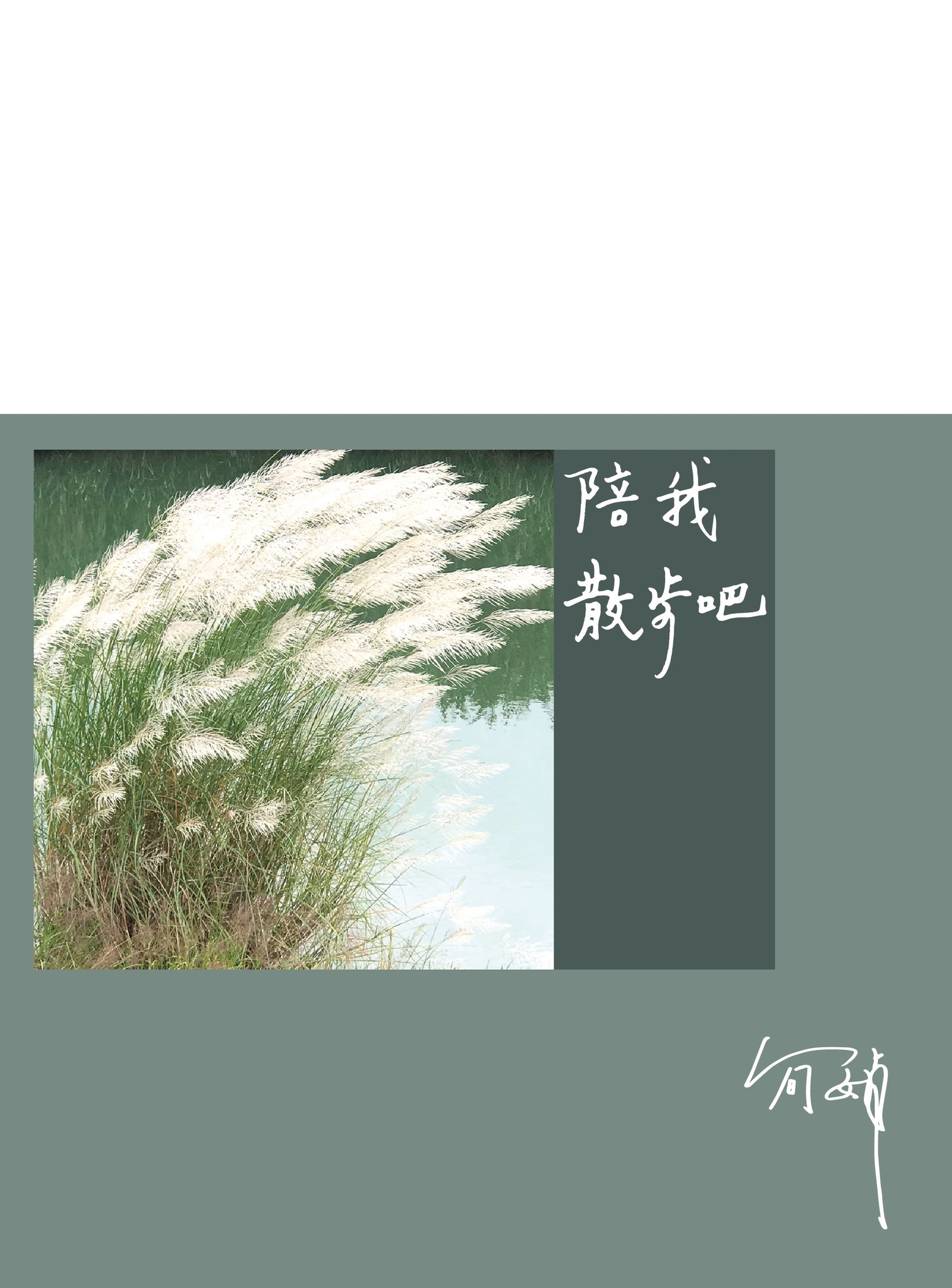 陪我散步吧