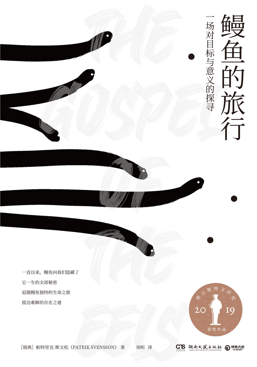 鳗鱼的旅行：一场对目标与意义的探寻