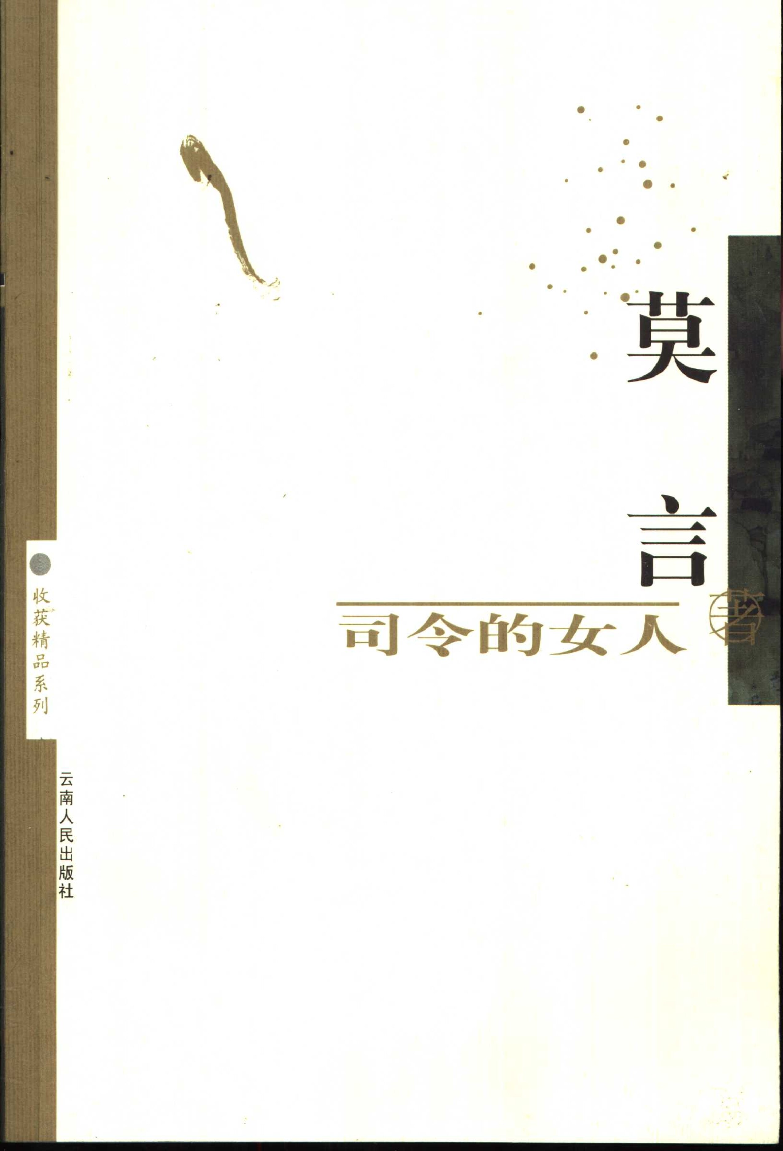 司令的女人