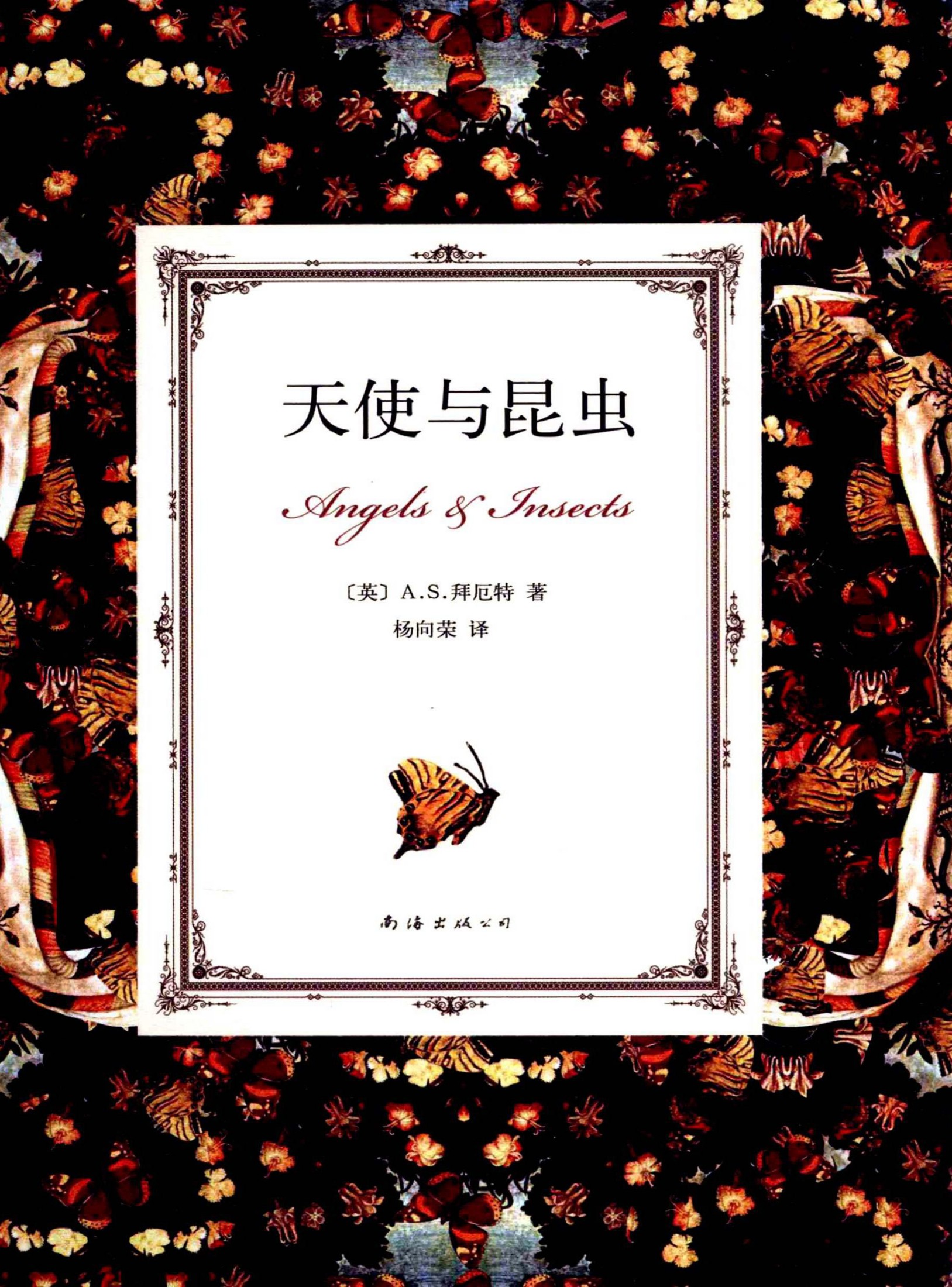 天使与昆虫