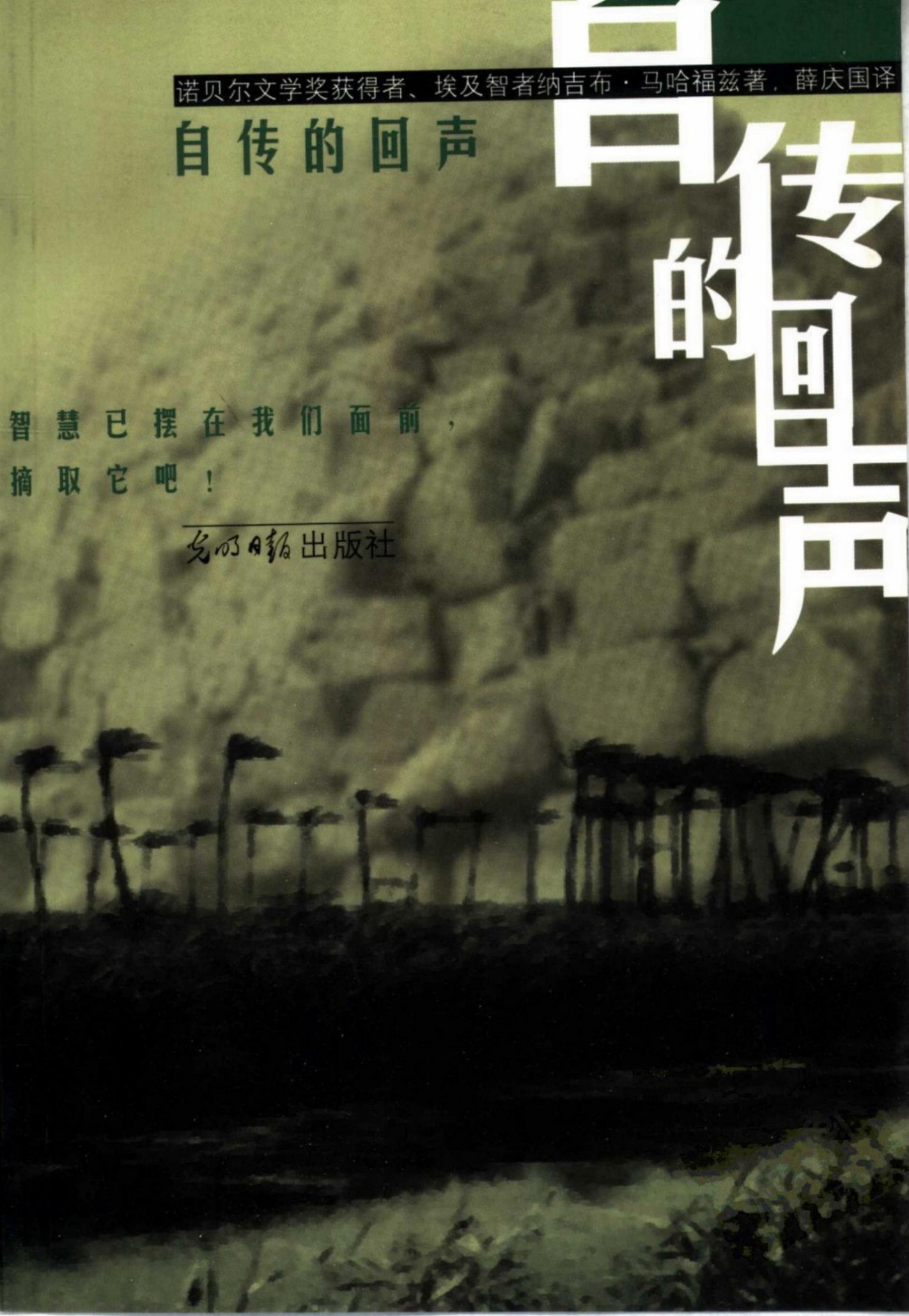 自传的回声
