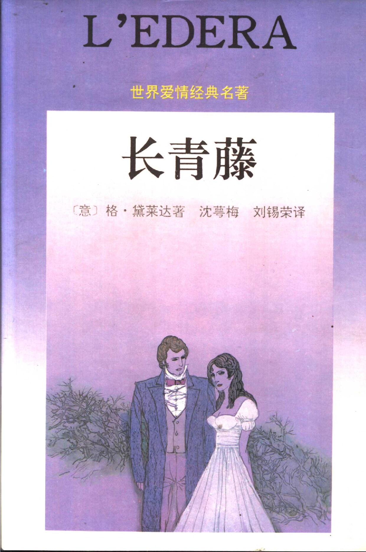 长青藤
