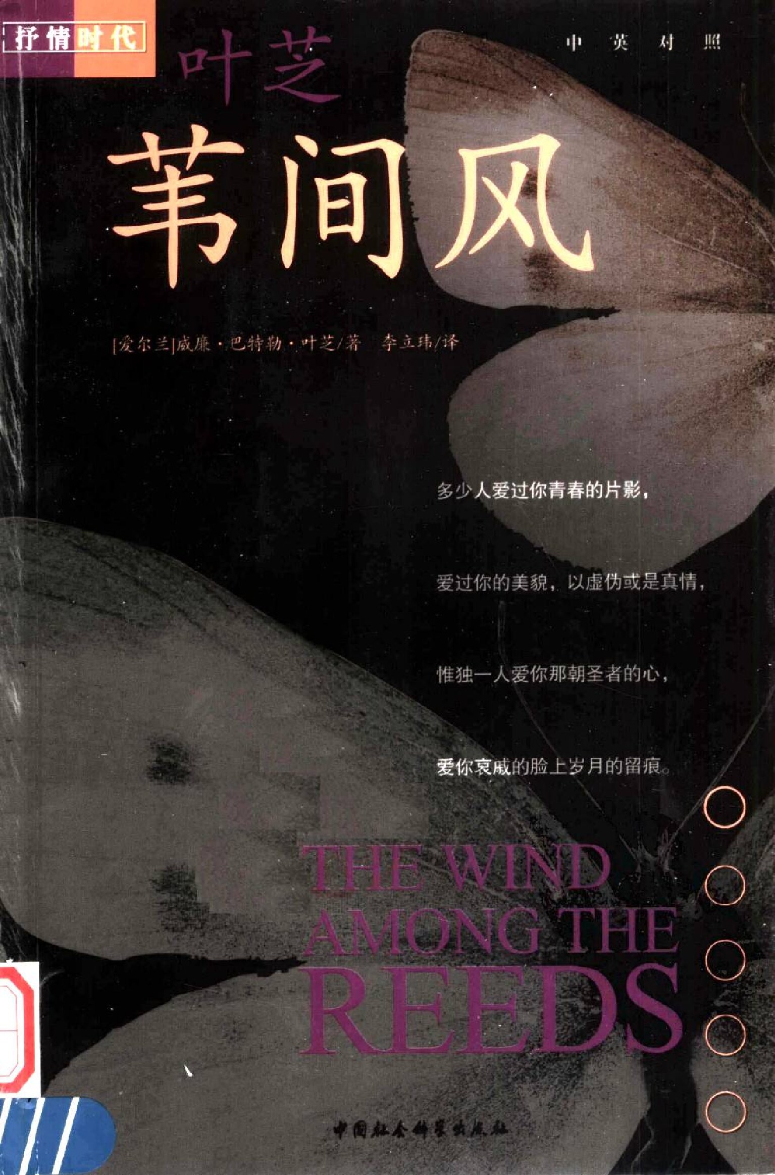 苇间风