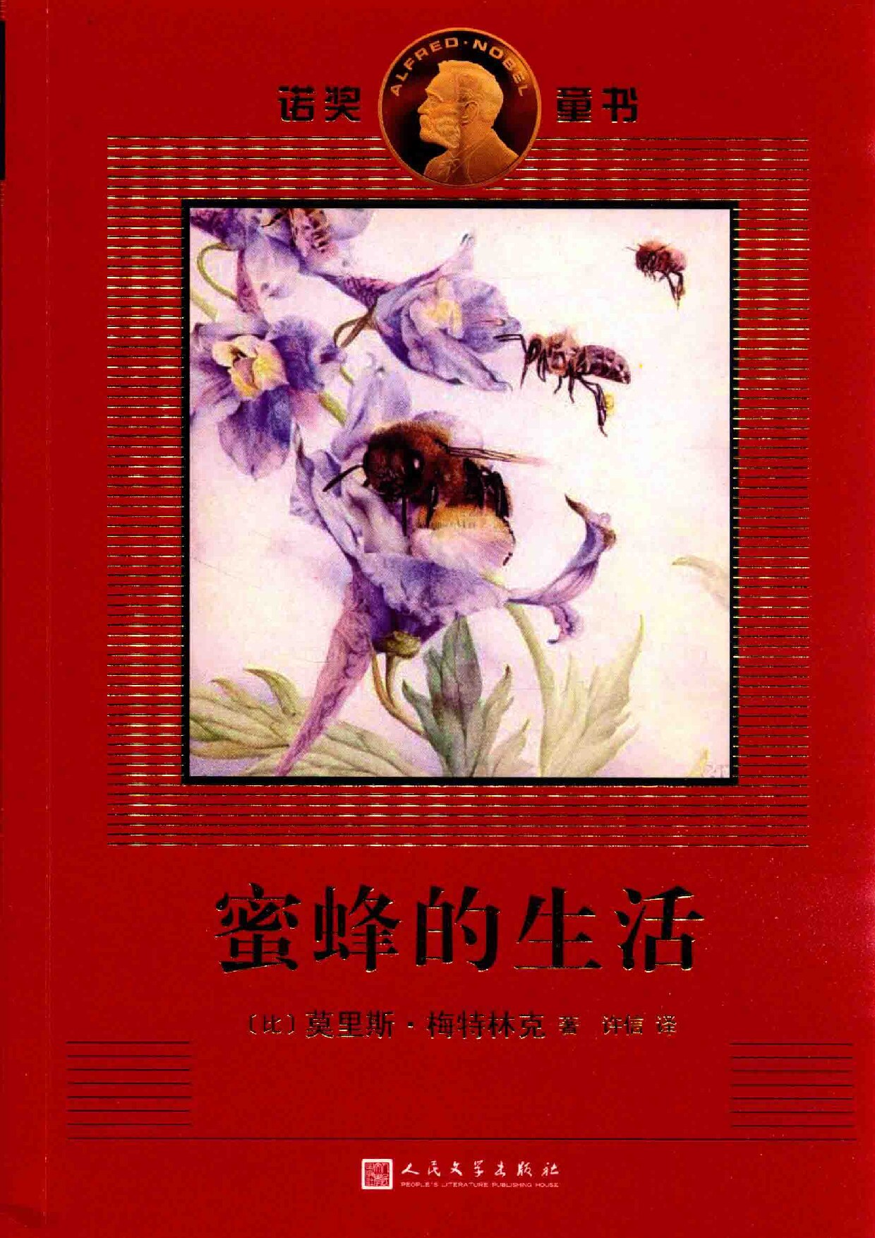 蜜蜂的生活
