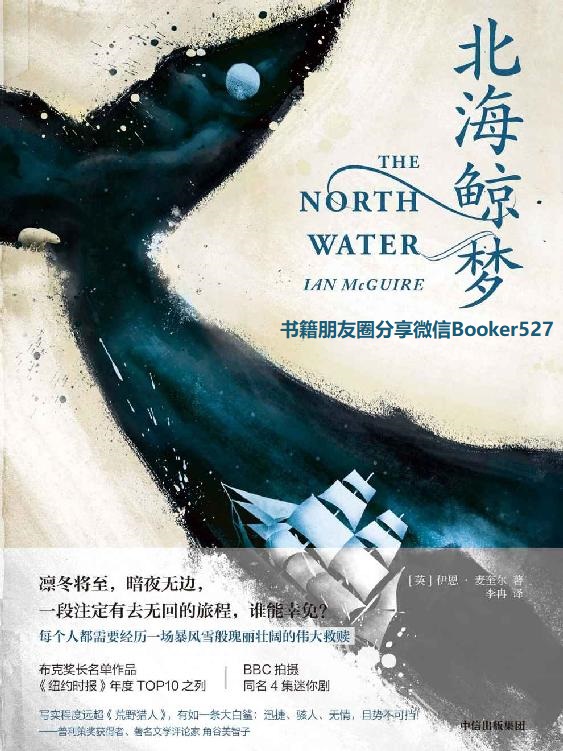 北海鲸梦