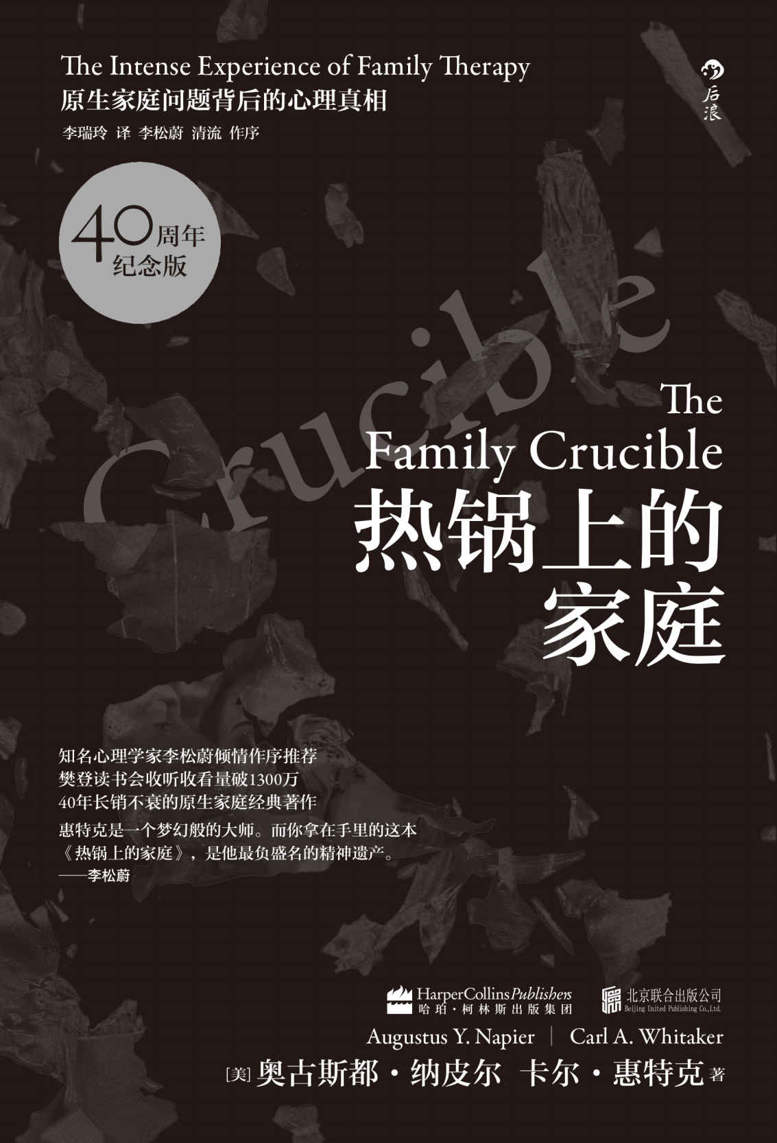 热锅上的家庭： 家庭问题背后的心理真相