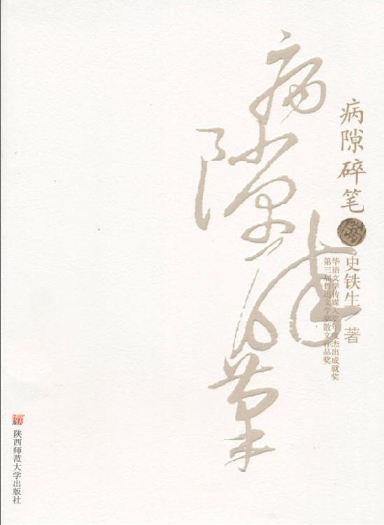 病隙碎笔(修订版)