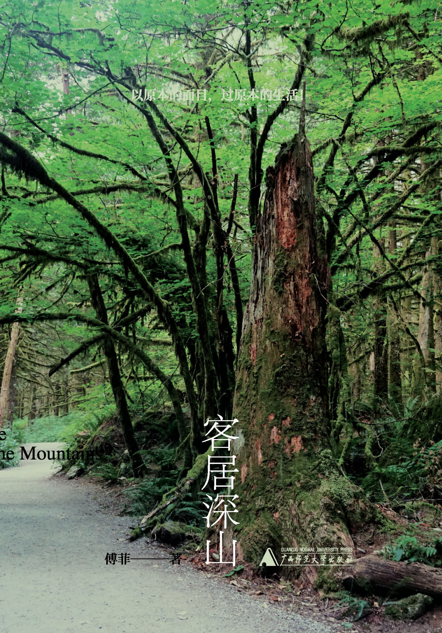 客居深山