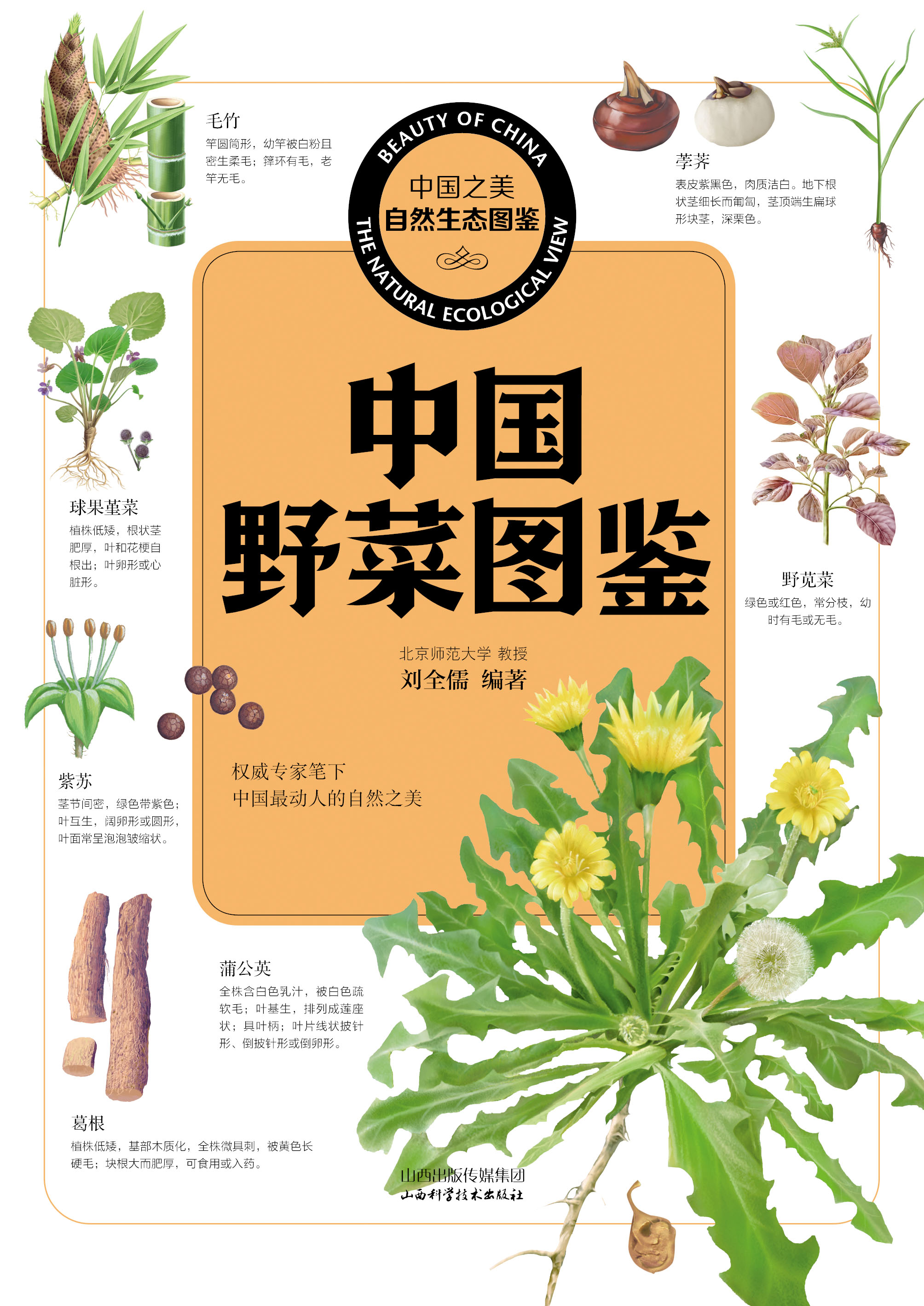 中国野菜图鉴