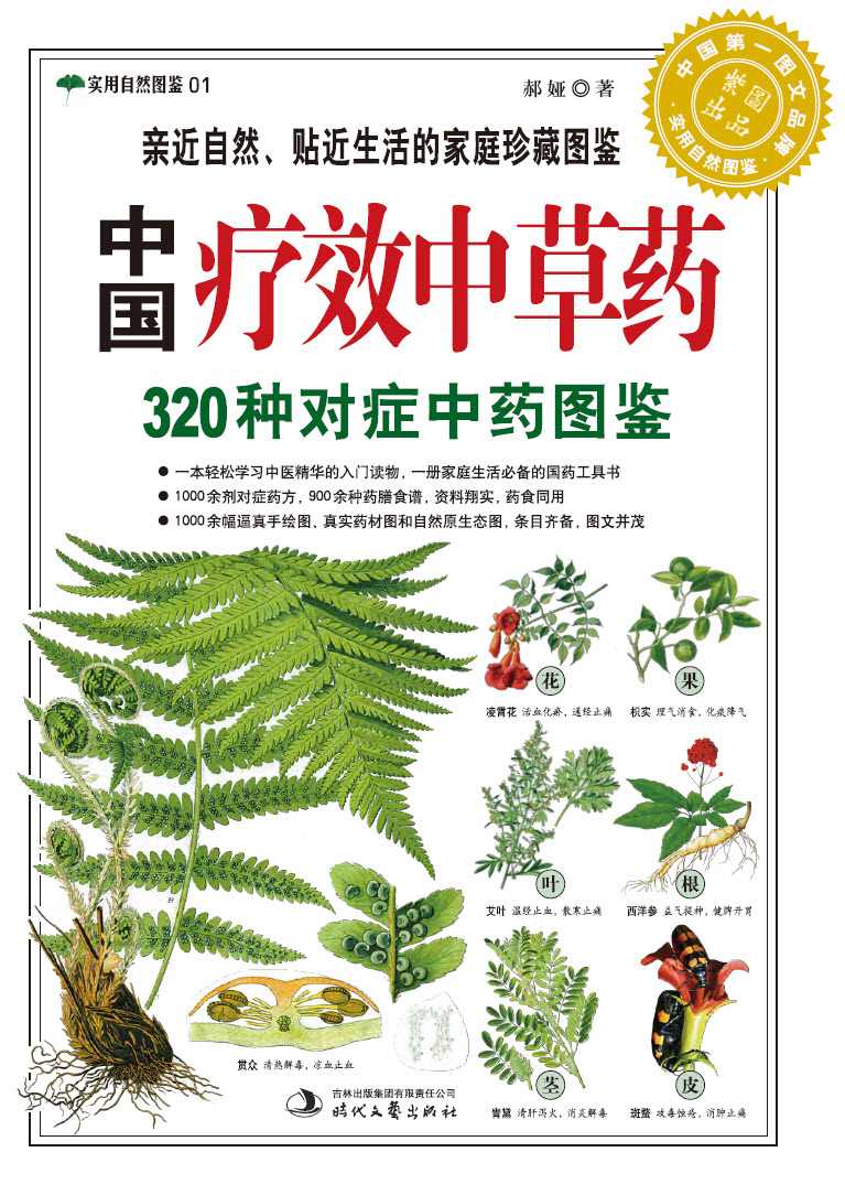 中国疗效中草药:320种对症中药图鉴 (紫图书馆·实用自然图鉴：01