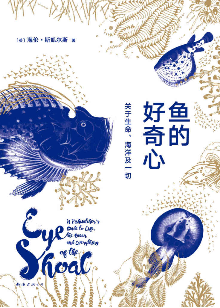 鱼的好奇心：关于生命、海洋及一切
