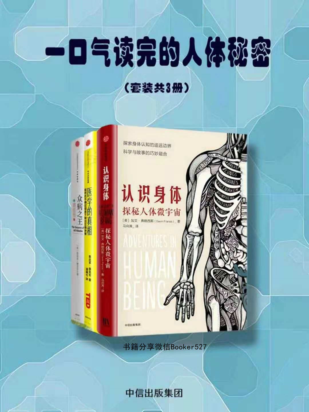 一口气读完的人体秘密（套装共3册）