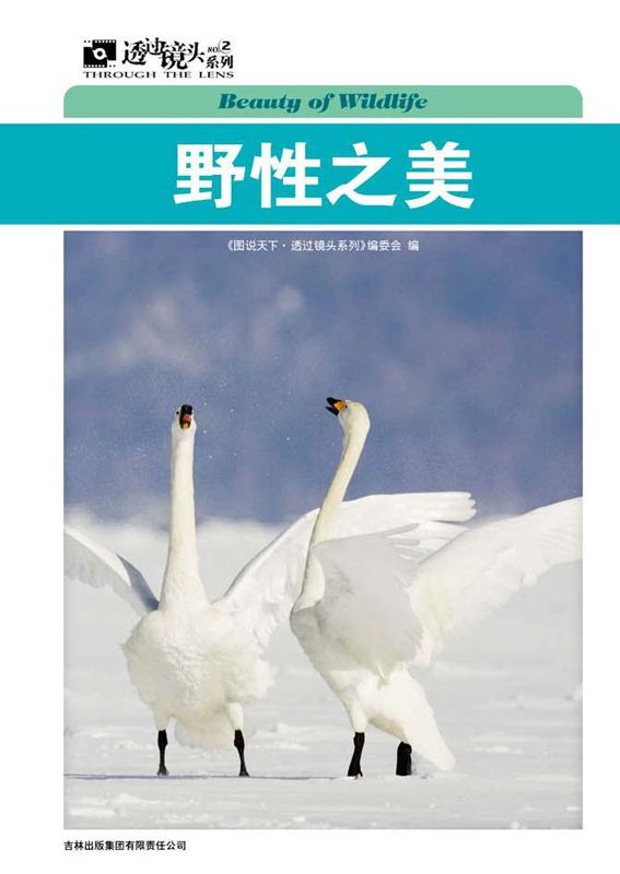 野性之美