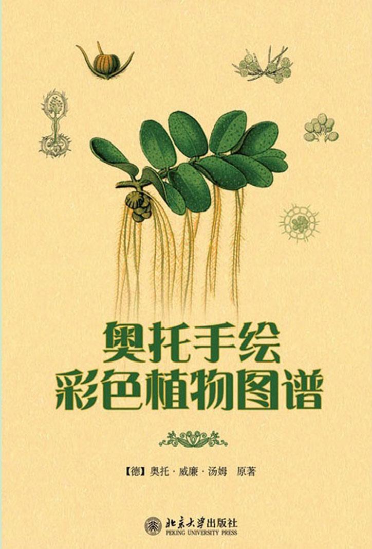 奥托手绘彩色植物谱