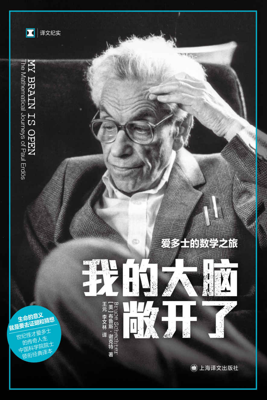 我的大脑敞开了：爱多士的数学之旅