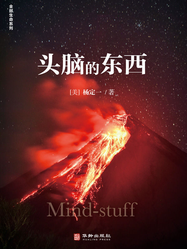 头脑的东西