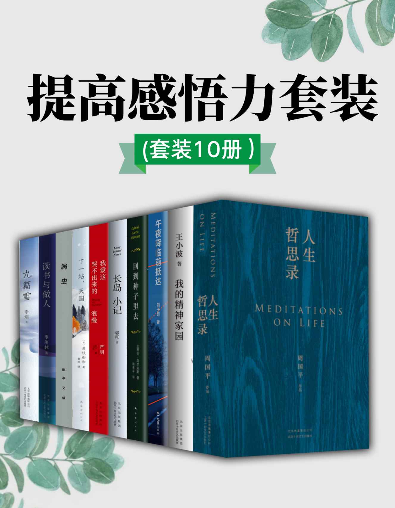 提高感悟力套装