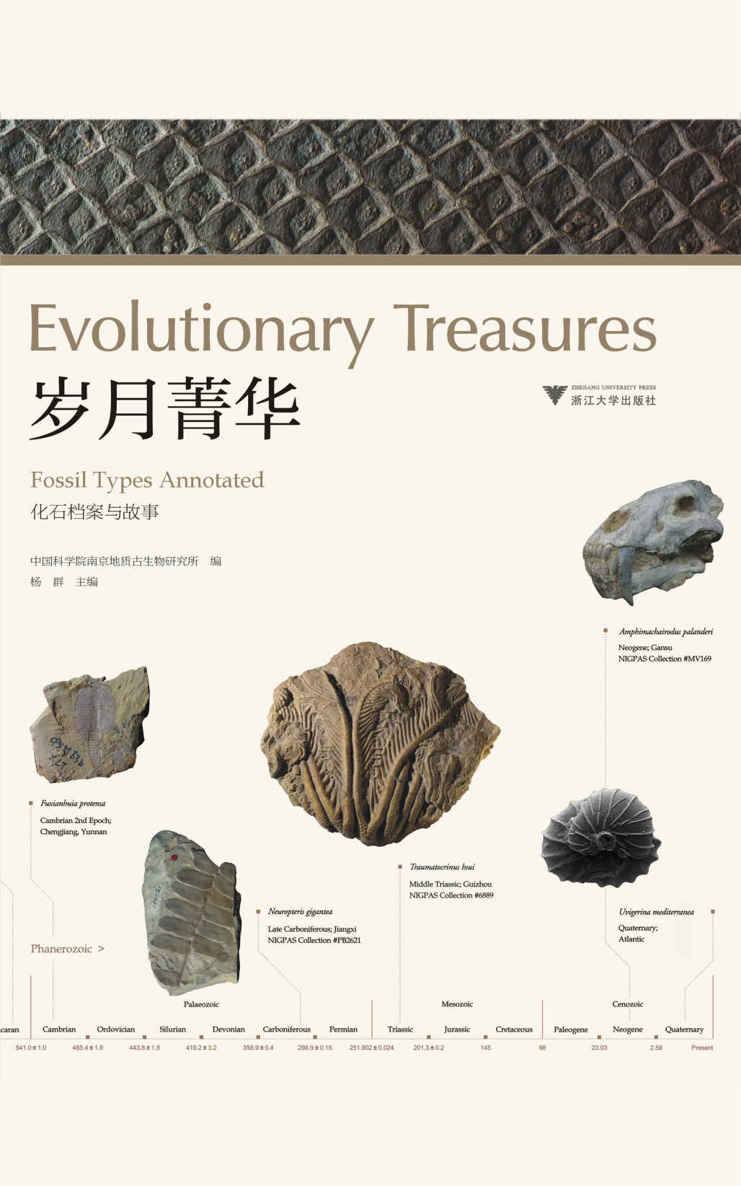 岁月菁华——化石档案与故事